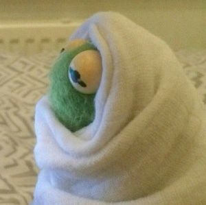 Meet your Posher, Sa'nay